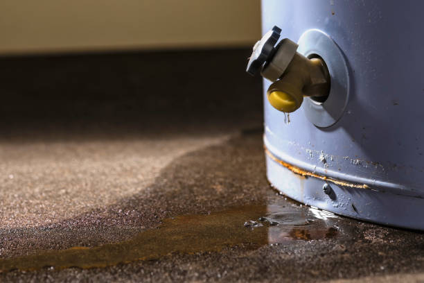 Best Carpet water damage restoration  in Grizzly Flats, CA