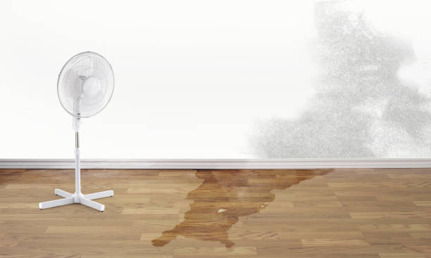 Best Water damage restoration near me  in Grizzly Flats, CA