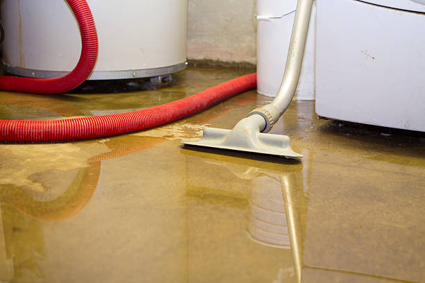 Trusted Grizzly Flats, CA Water damage restoration Experts
