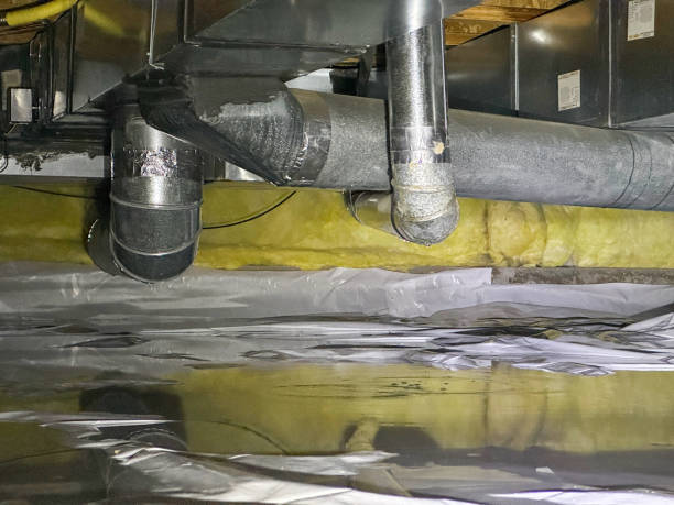 Local water damage restoration in Grizzly Flats, CA