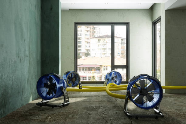 Best Water damage restoration near me  in Grizzly Flats, CA