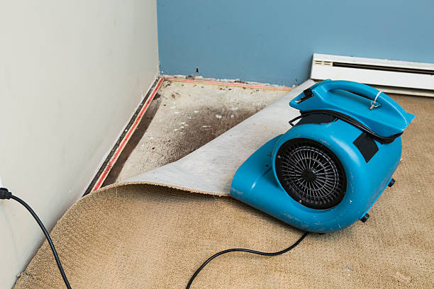 Best Sewage cleanup and water damage restoration  in Grizzly Flats, CA